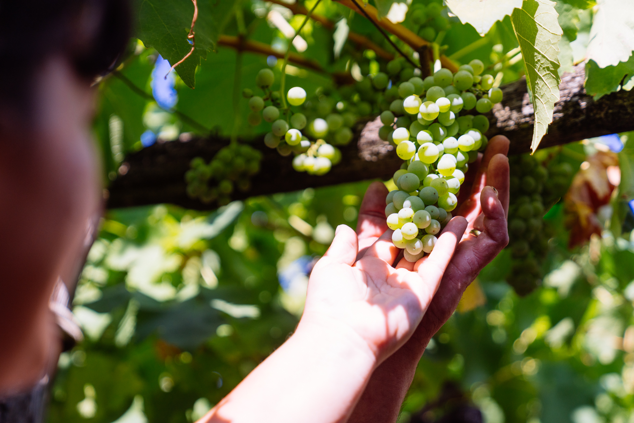 Jurada Melinda in Denis 4