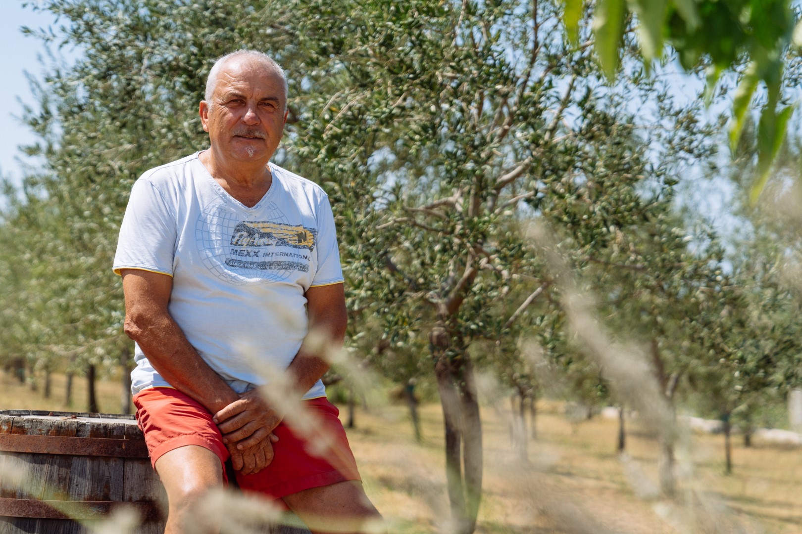 Miklavcic Walter 2 1