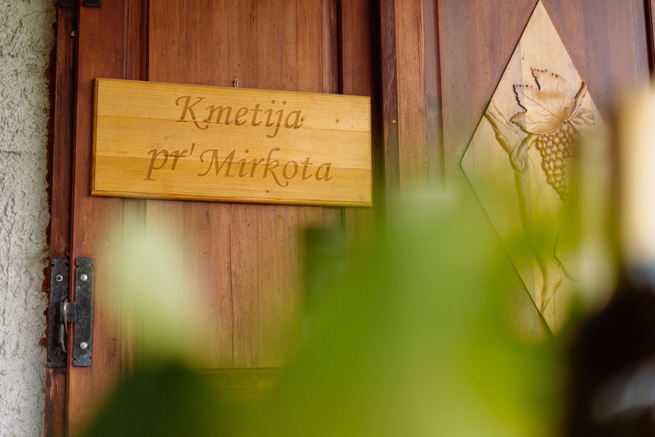 Veljkovic Gracijela 3 1