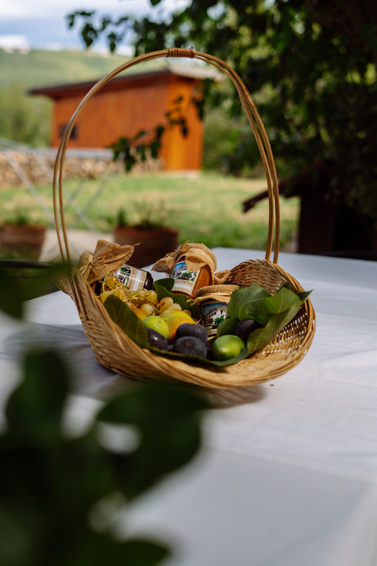 Veljkovic Gracijela 6