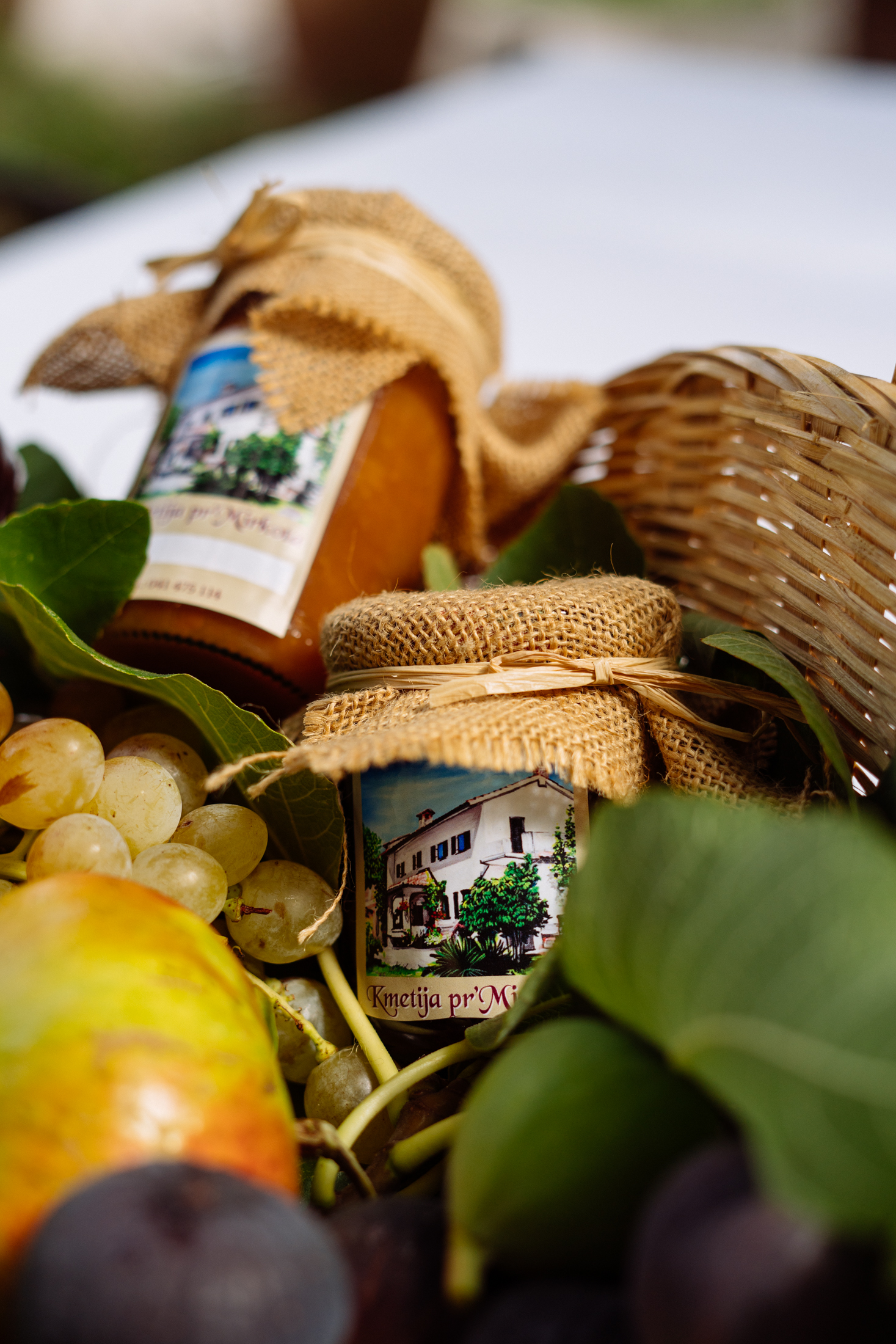 Veljkovic Gracijela 8